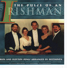 cover of The Pulse of an Irishman