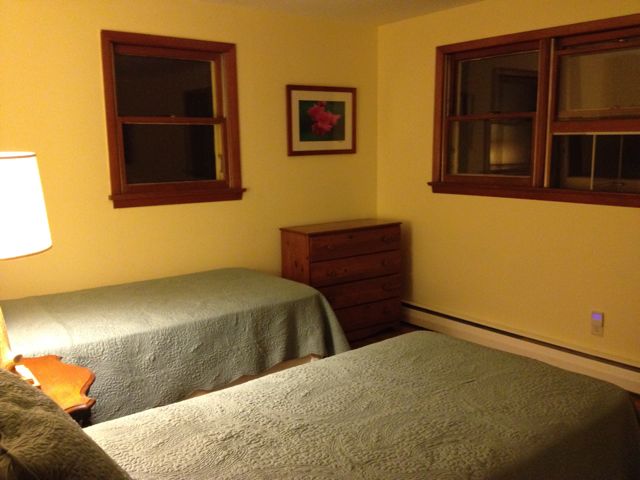 guest bedroom with two twin beds